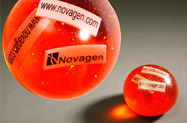 Novelty Anti-Stress Balls